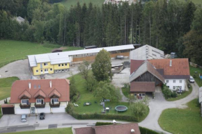 Ferienhof Kehlbauer Hof Bei Salzburg